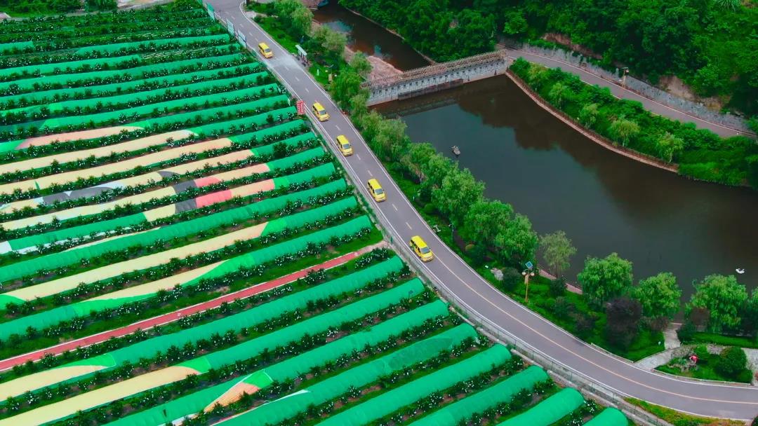 道路運(yùn)輸領(lǐng)域可持續(xù)發(fā)展，鄉(xiāng)村客運(yùn)讓農(nóng)村生活美好可期